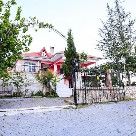 Kozalak